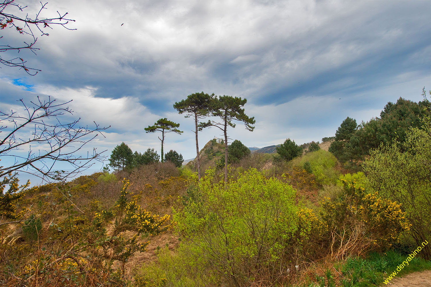   Basque Country  Pasaia