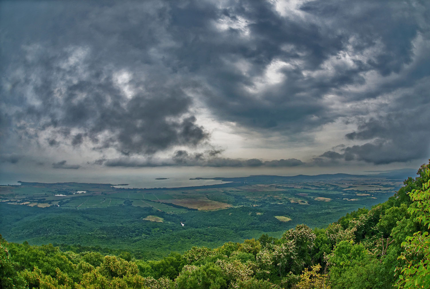    Bulgaria