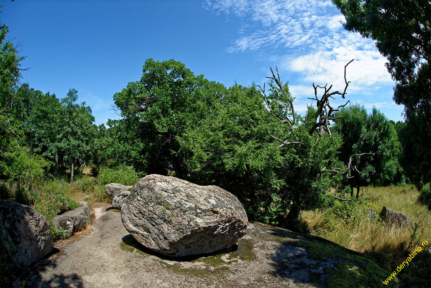    Bulgaria