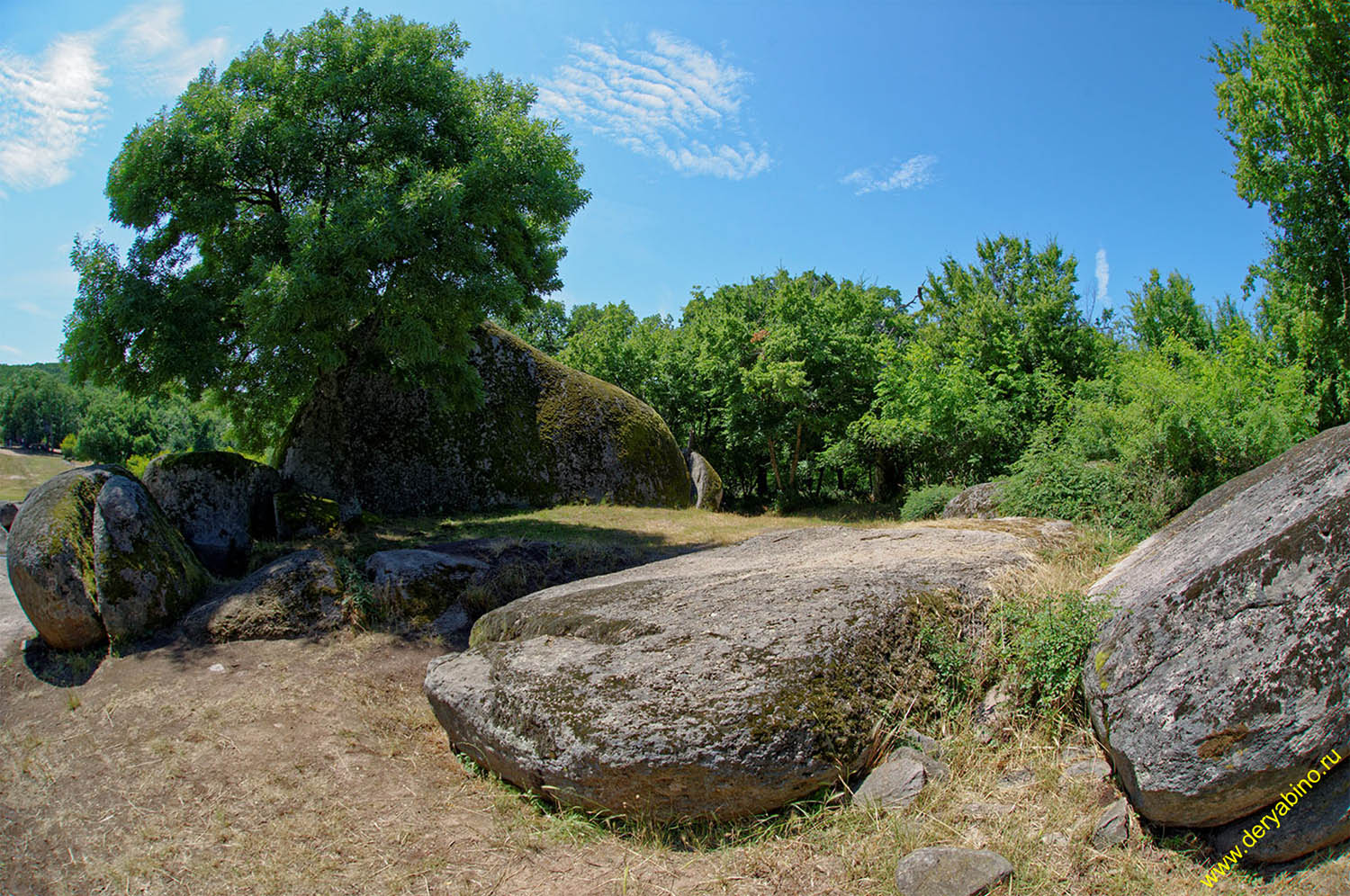    Bulgaria