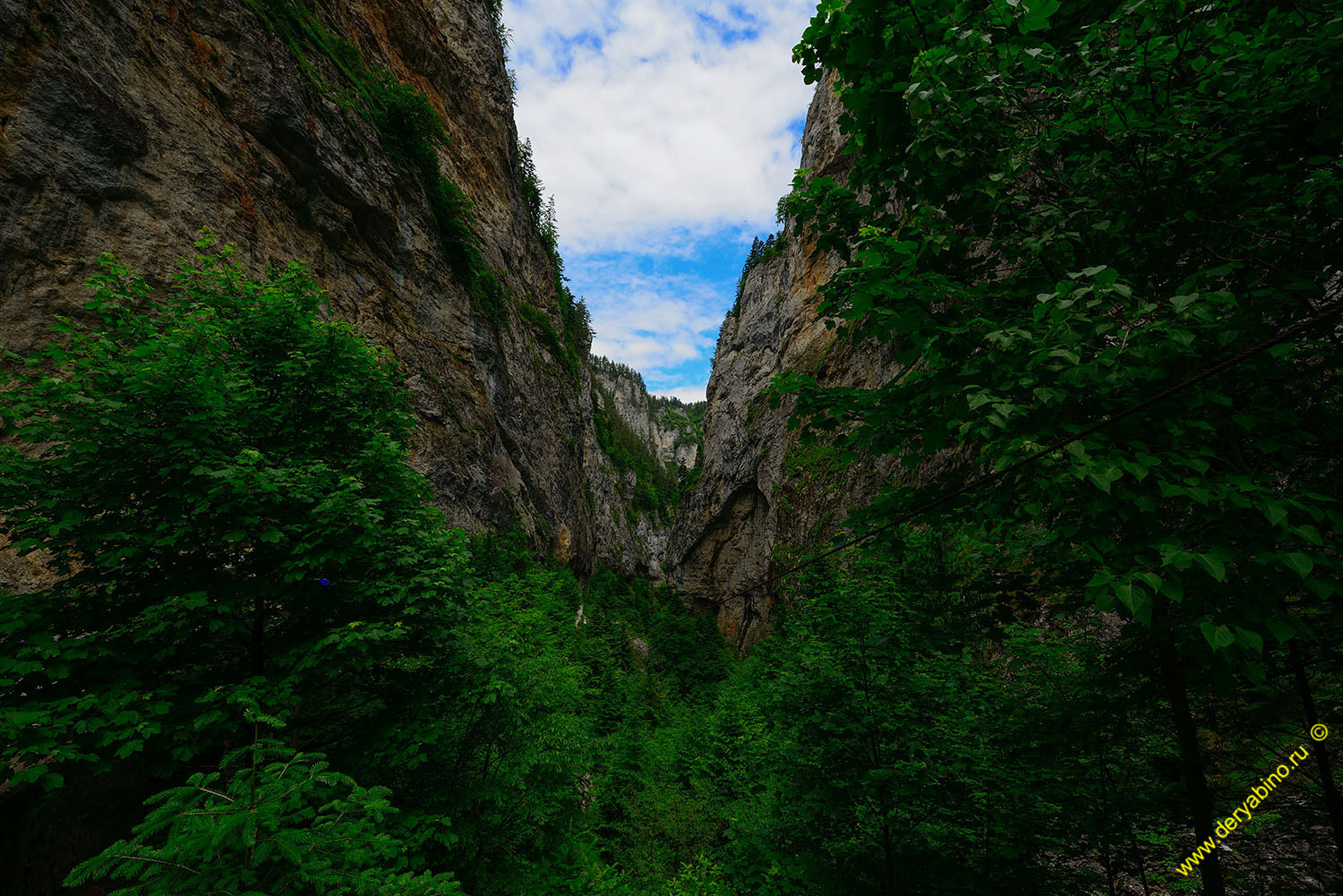    The Devil's Throat Cave Bulgaria