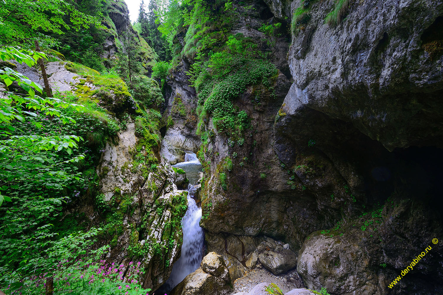    The Devil's Throat Cave Bulgaria