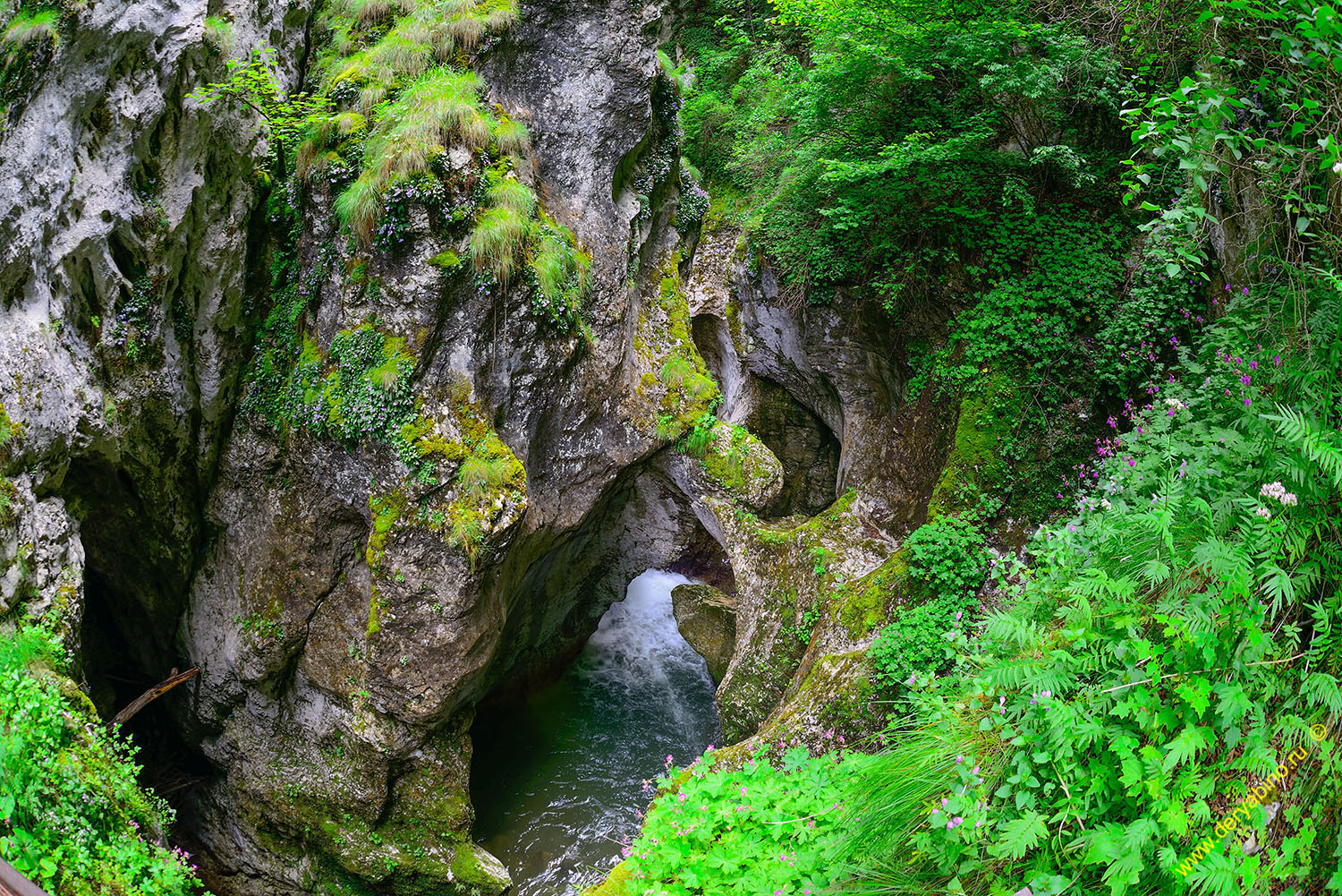    The Devil's Throat Cave Bulgaria