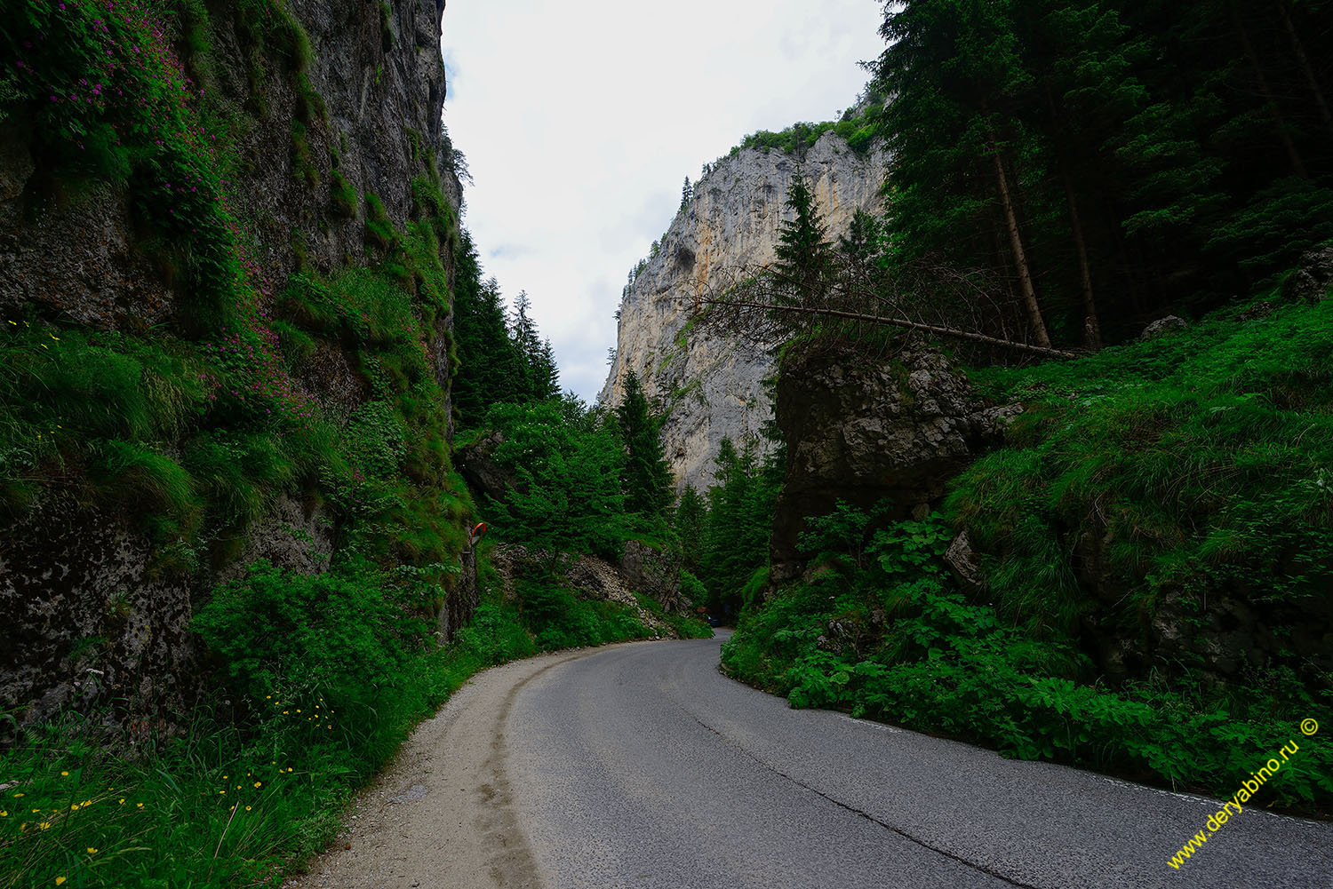    The Devil's Throat Cave Bulgaria