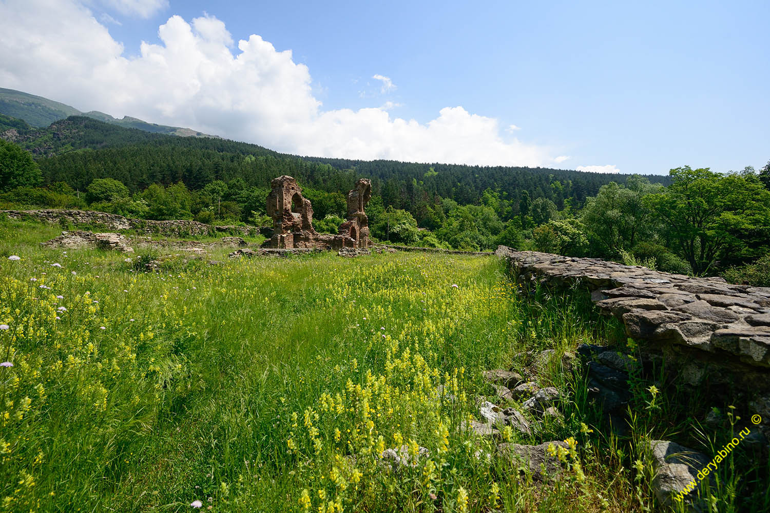    Elenska Basilica Bulgaria