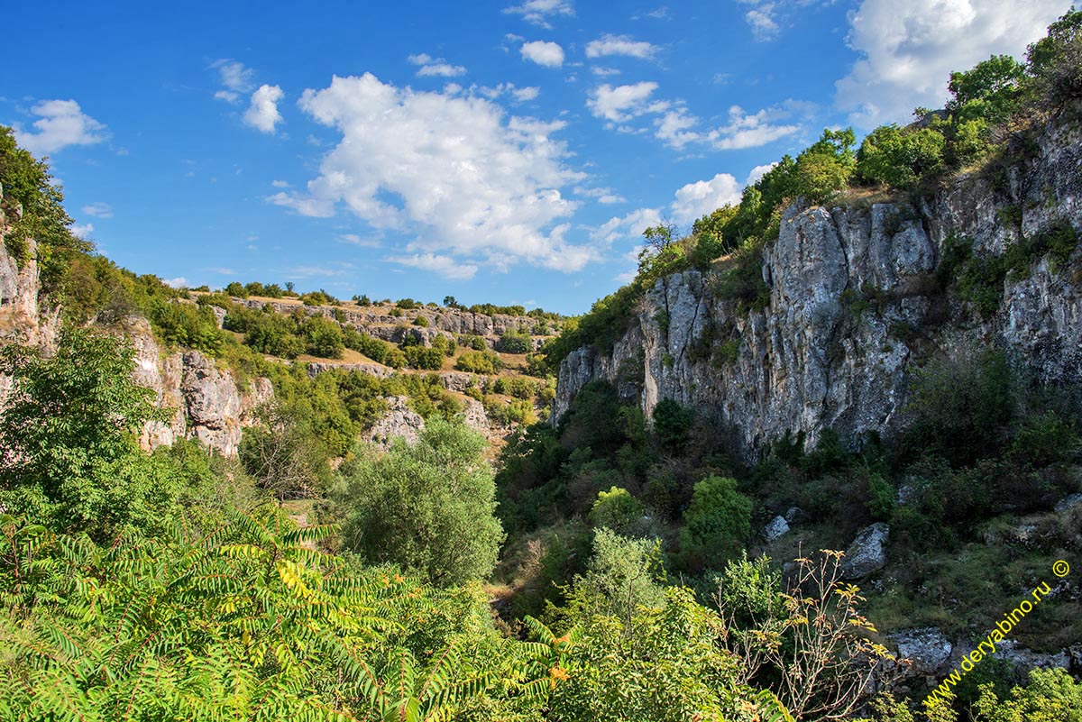    Negovanka River Canyon Bulgaria