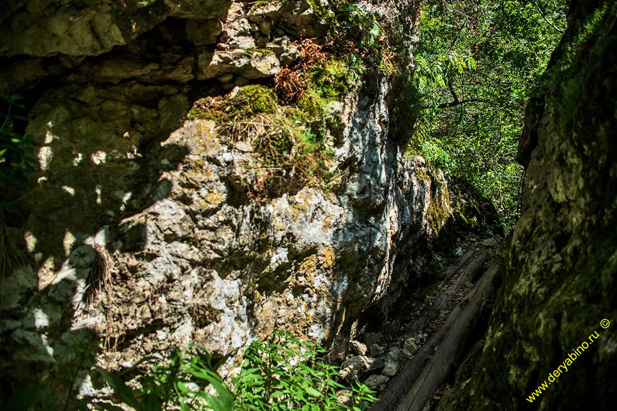    Negovanka River Canyon Bulgaria