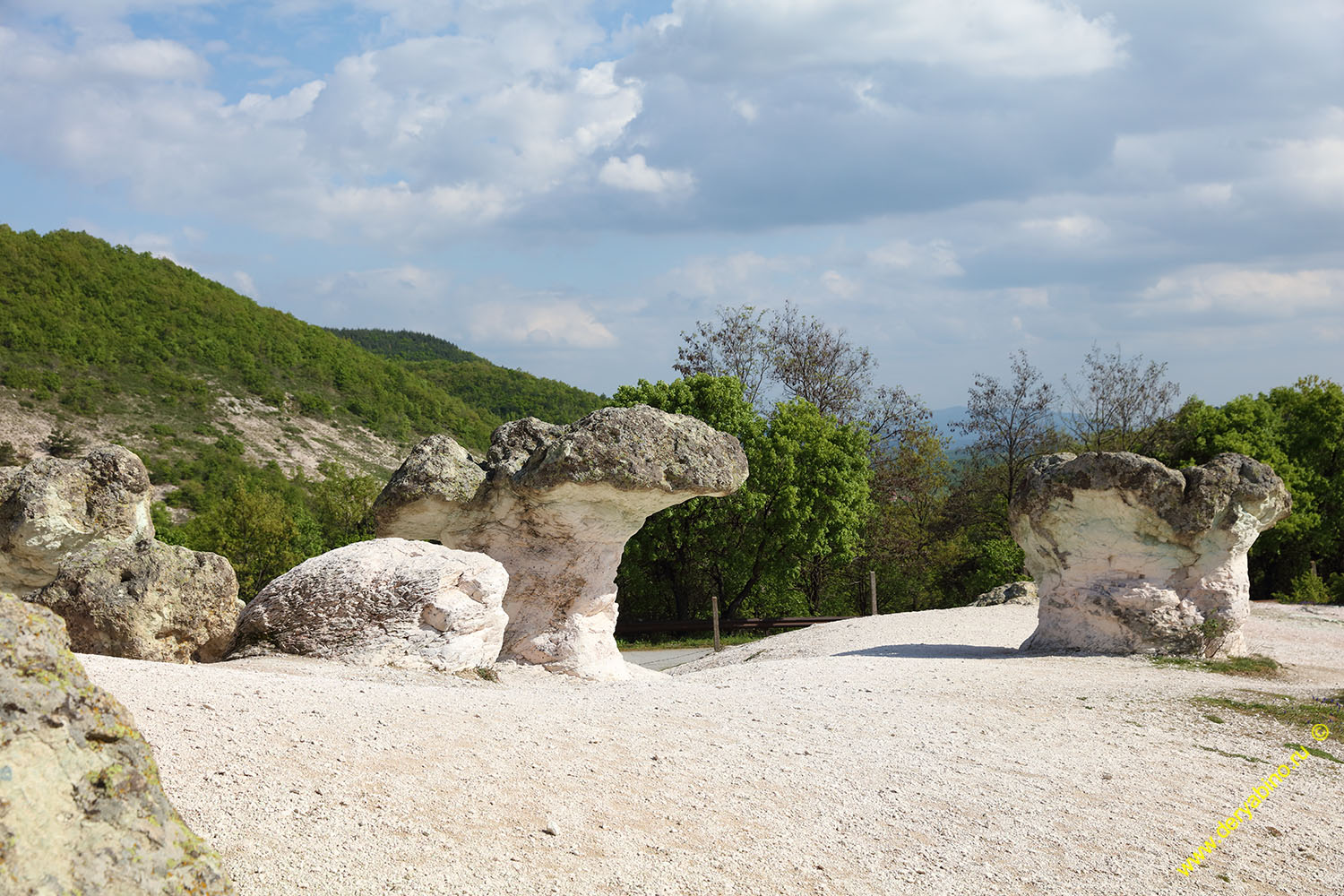      Kardzhali 