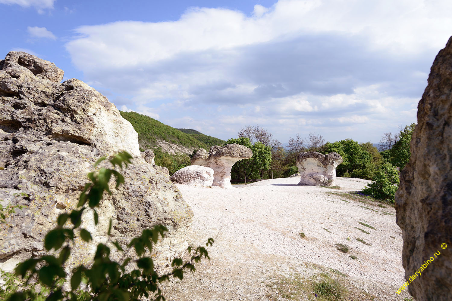      Kardzhali 