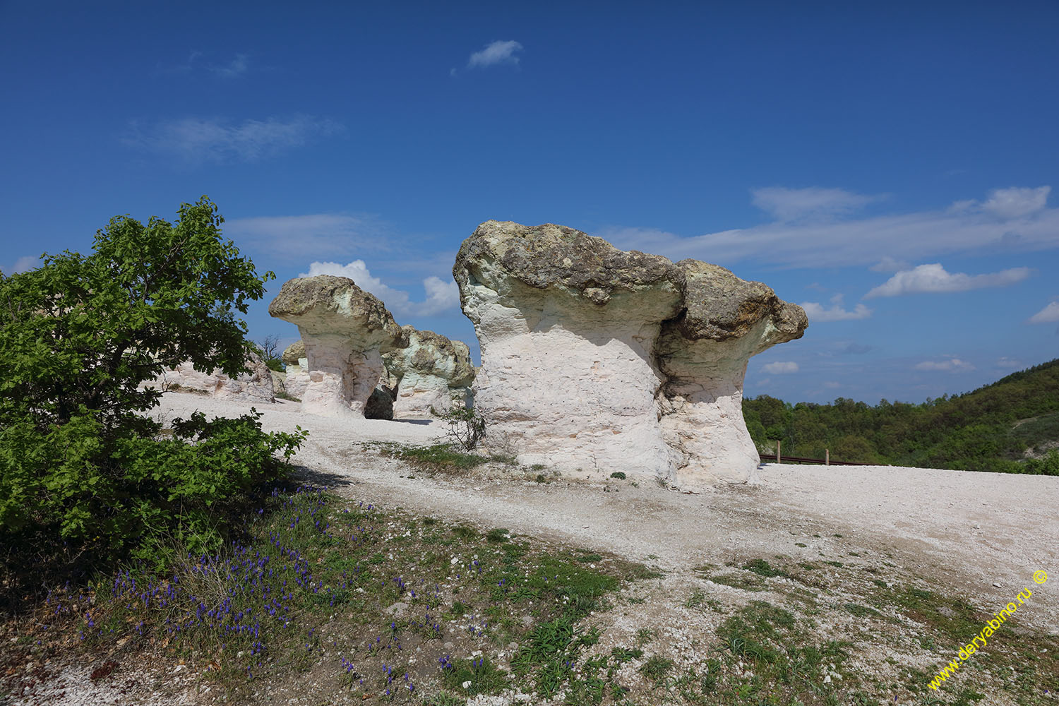      Kardzhali 