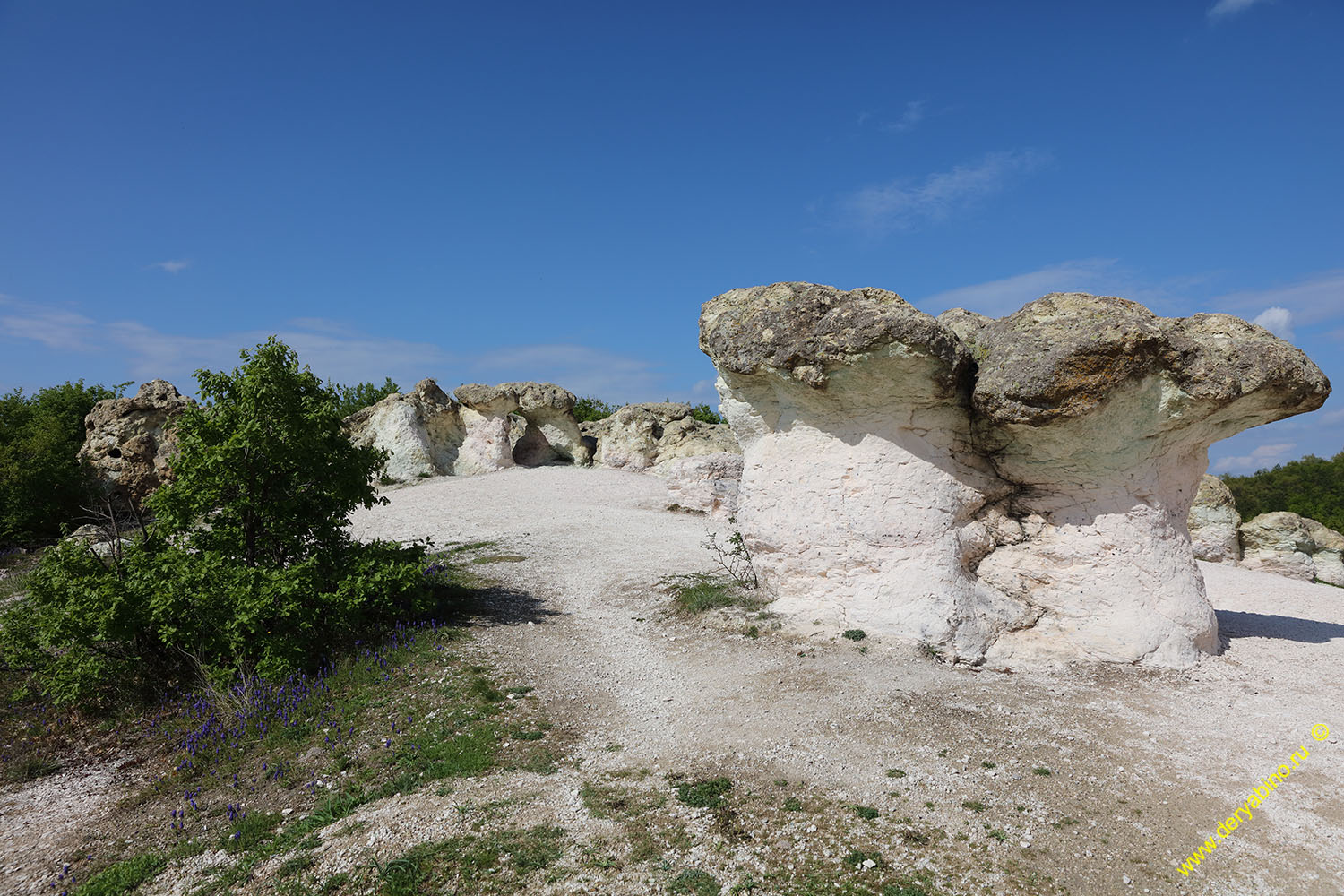      Kardzhali 