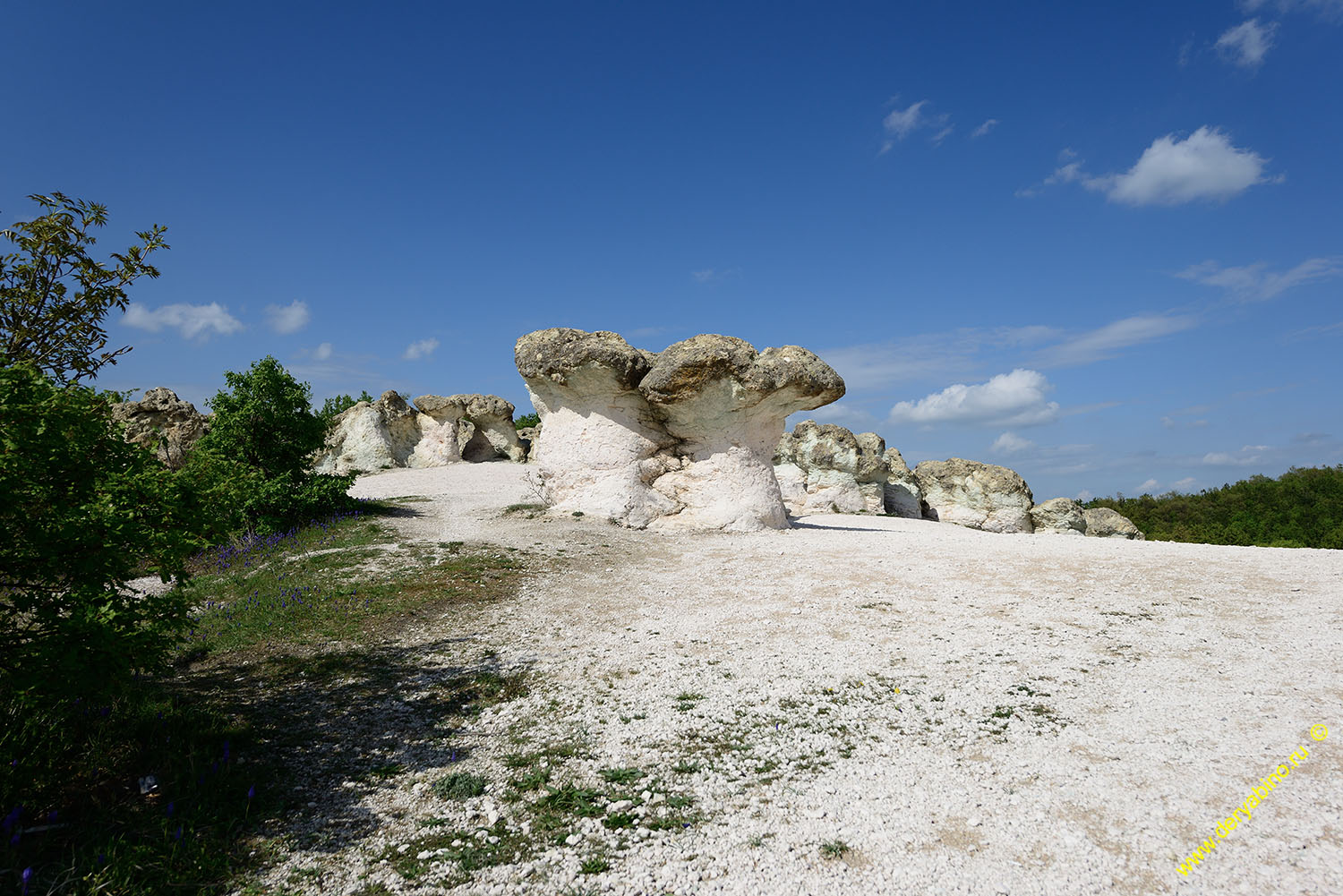      Kardzhali 