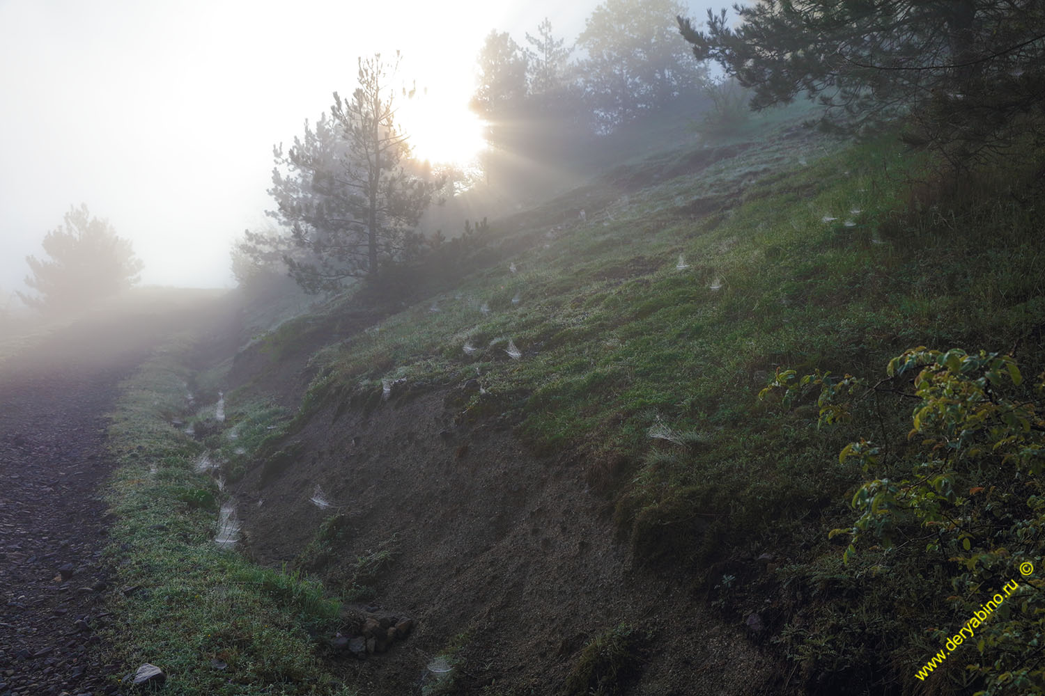    Kardzhali 