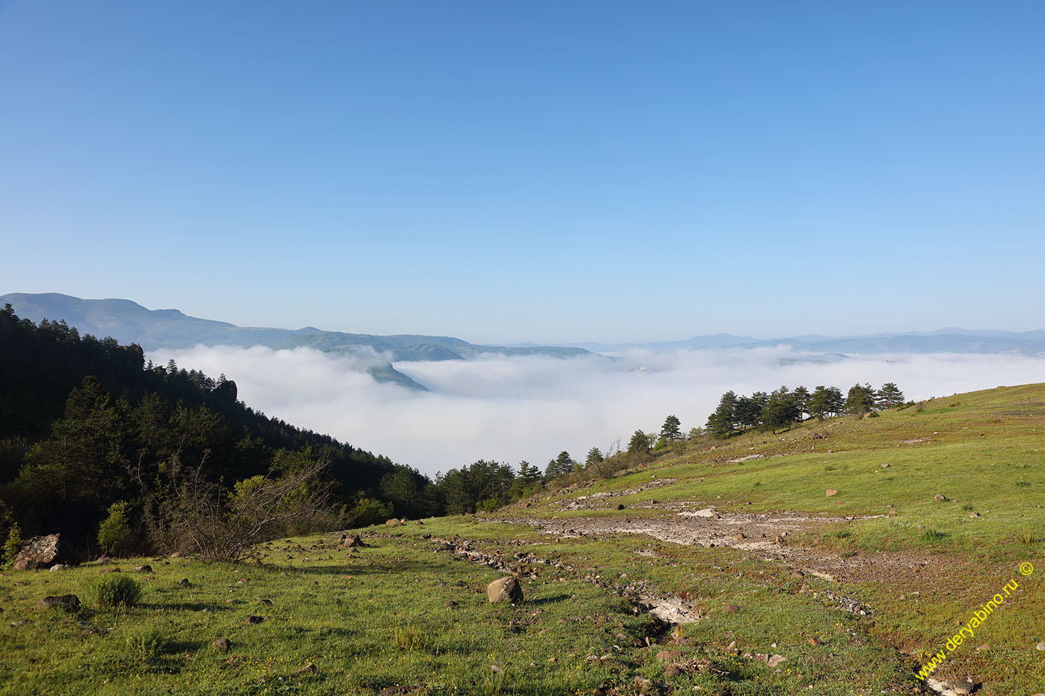    Kardzhali 