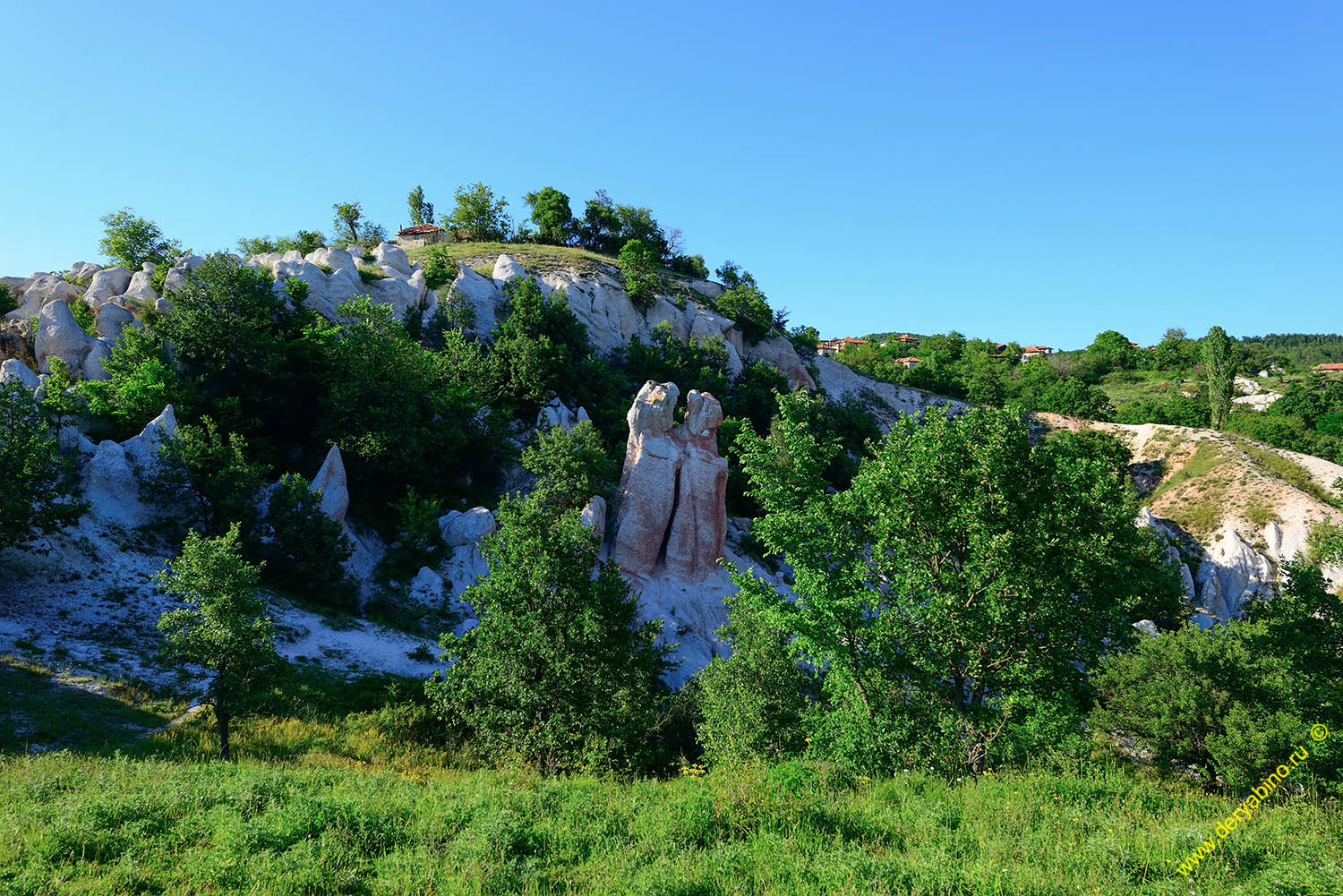      Kardzhali 