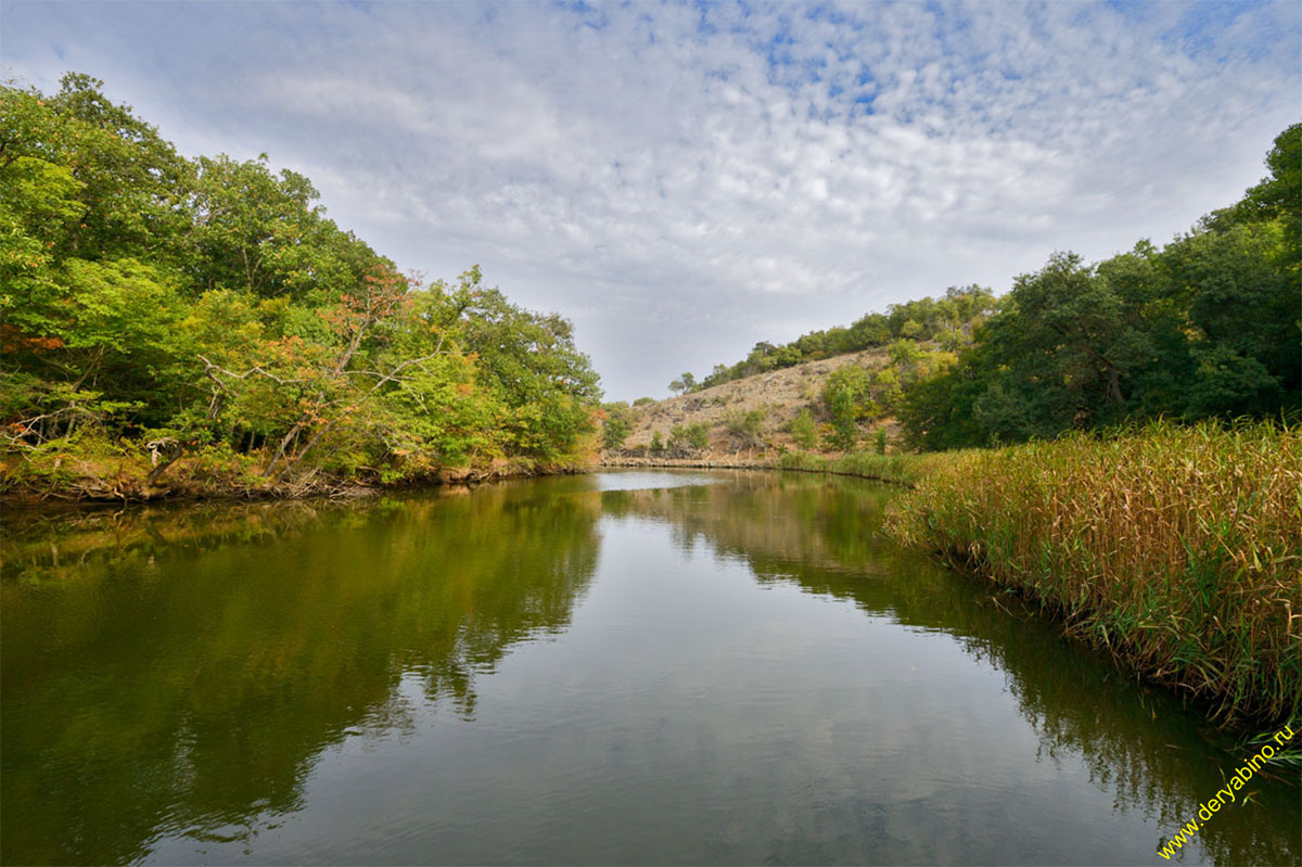   river Ropotamo