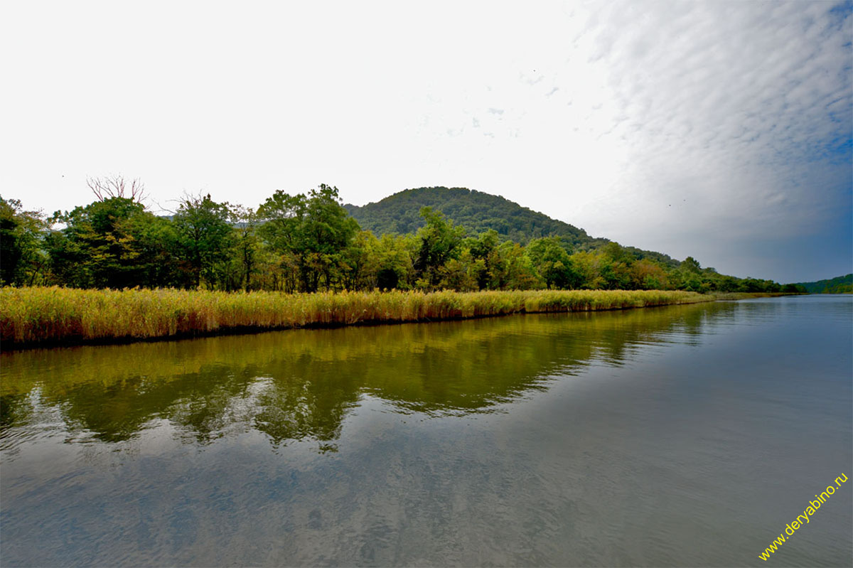   river Ropotamo