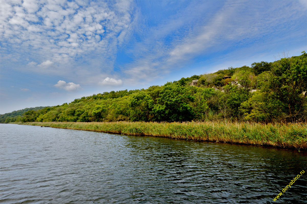   river Ropotamo