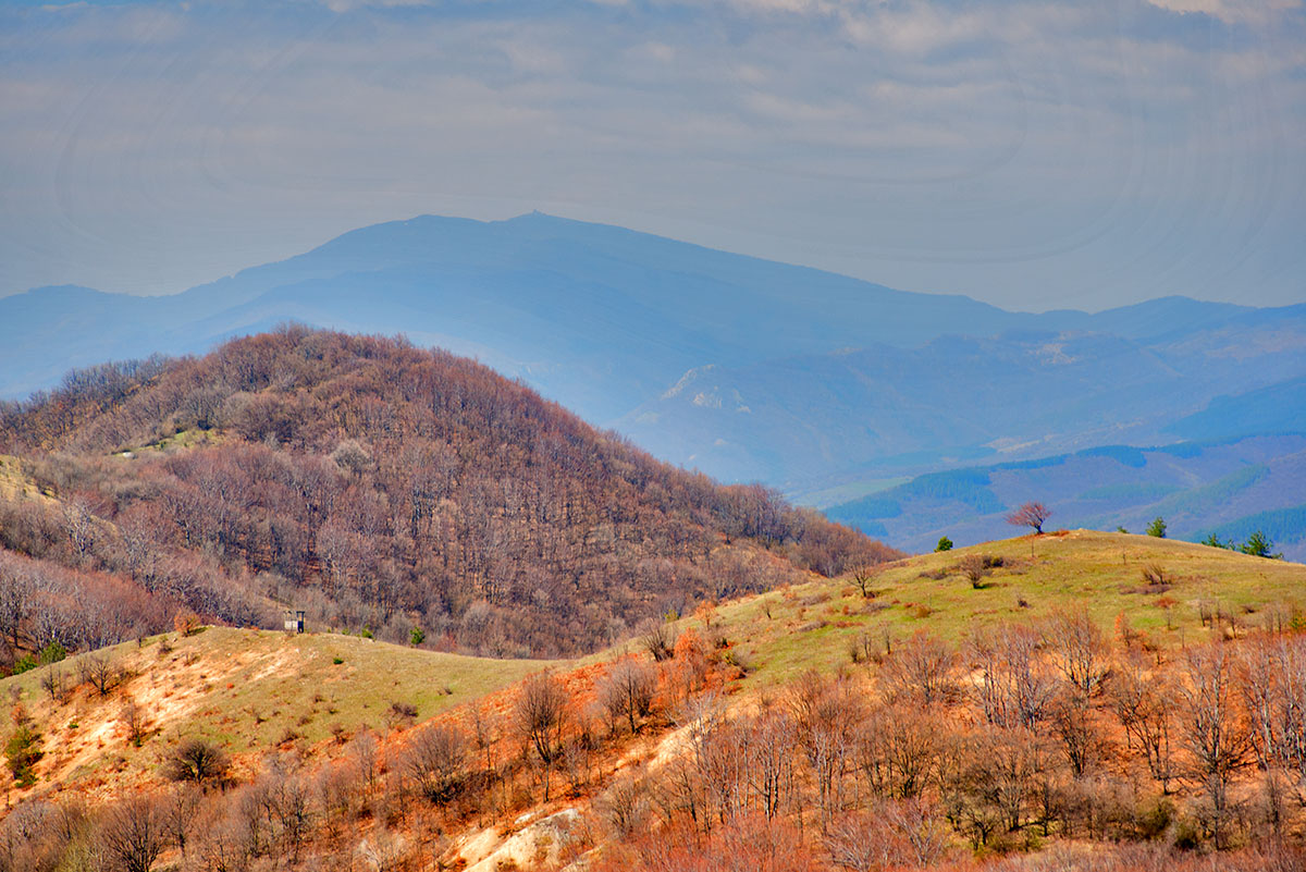    Sinie Kamni Bulgaria