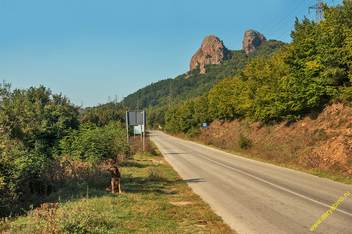     Volchiy dol Rabovo Bulgaria