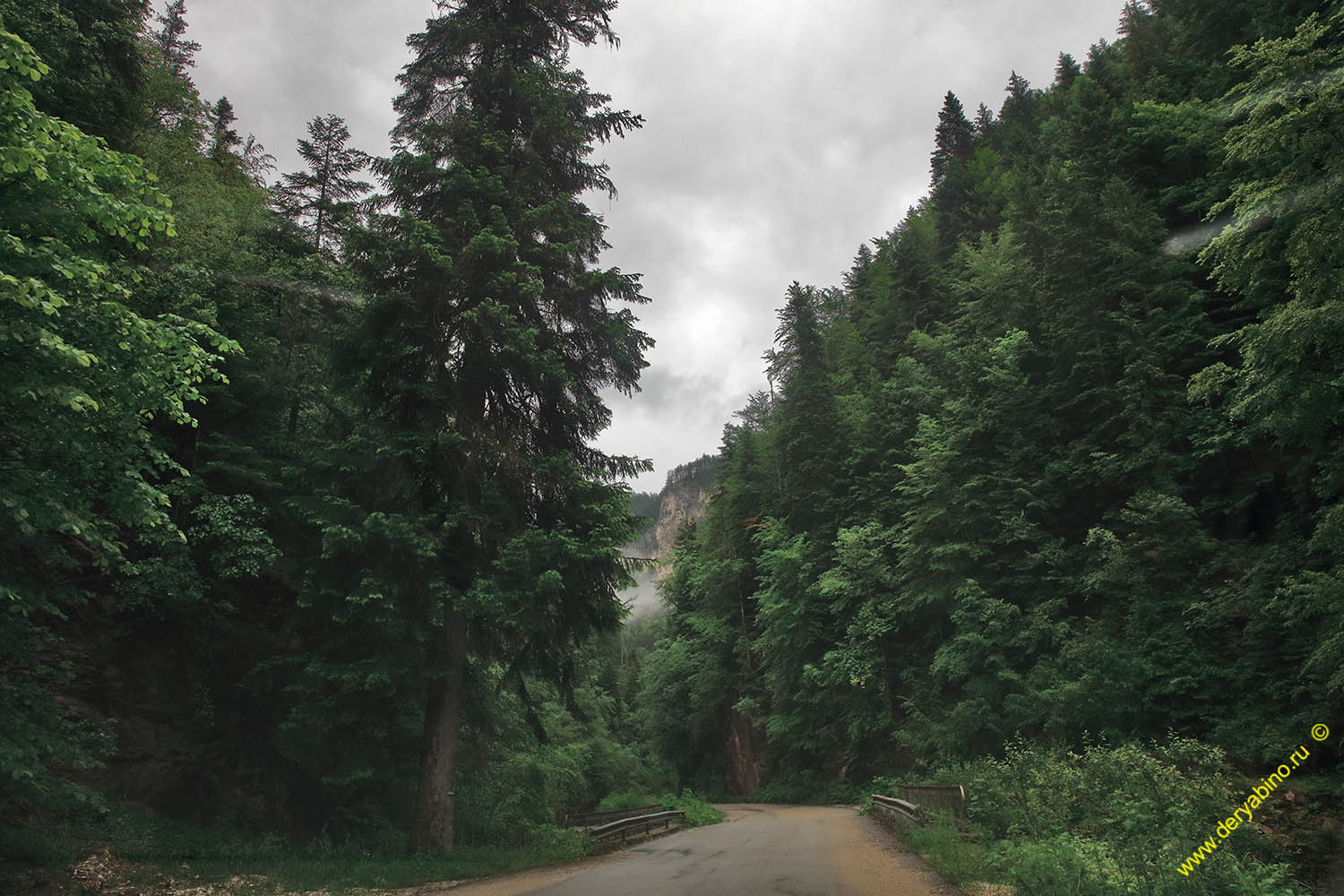   Yagodinskoe Gorge  Bulgaria