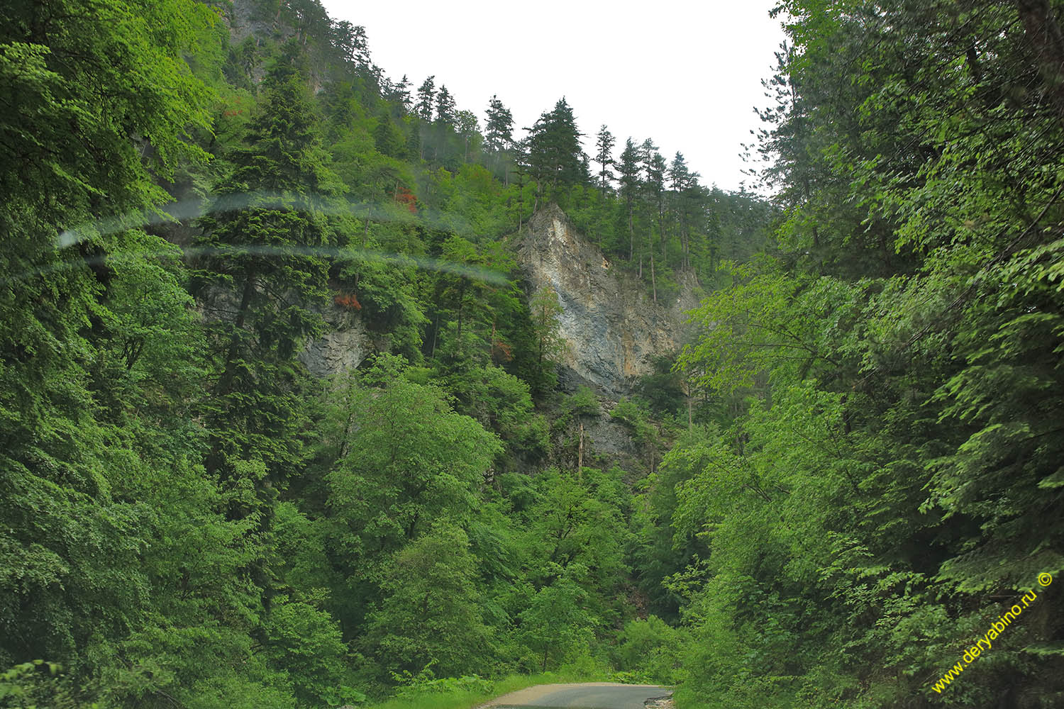   Yagodinskoe Gorge  Bulgaria