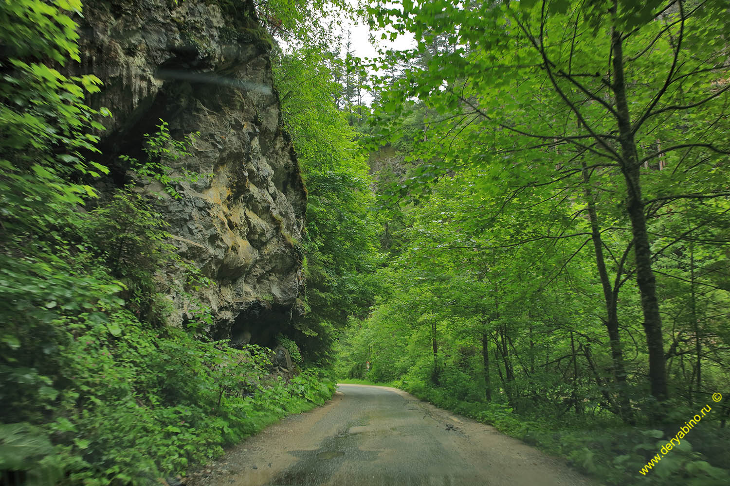   Yagodinskoe Gorge  Bulgaria