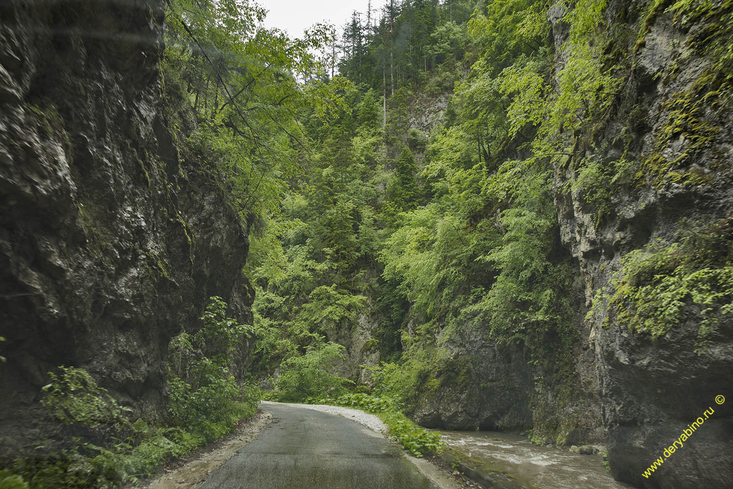   Yagodinskoe Gorge  Bulgaria