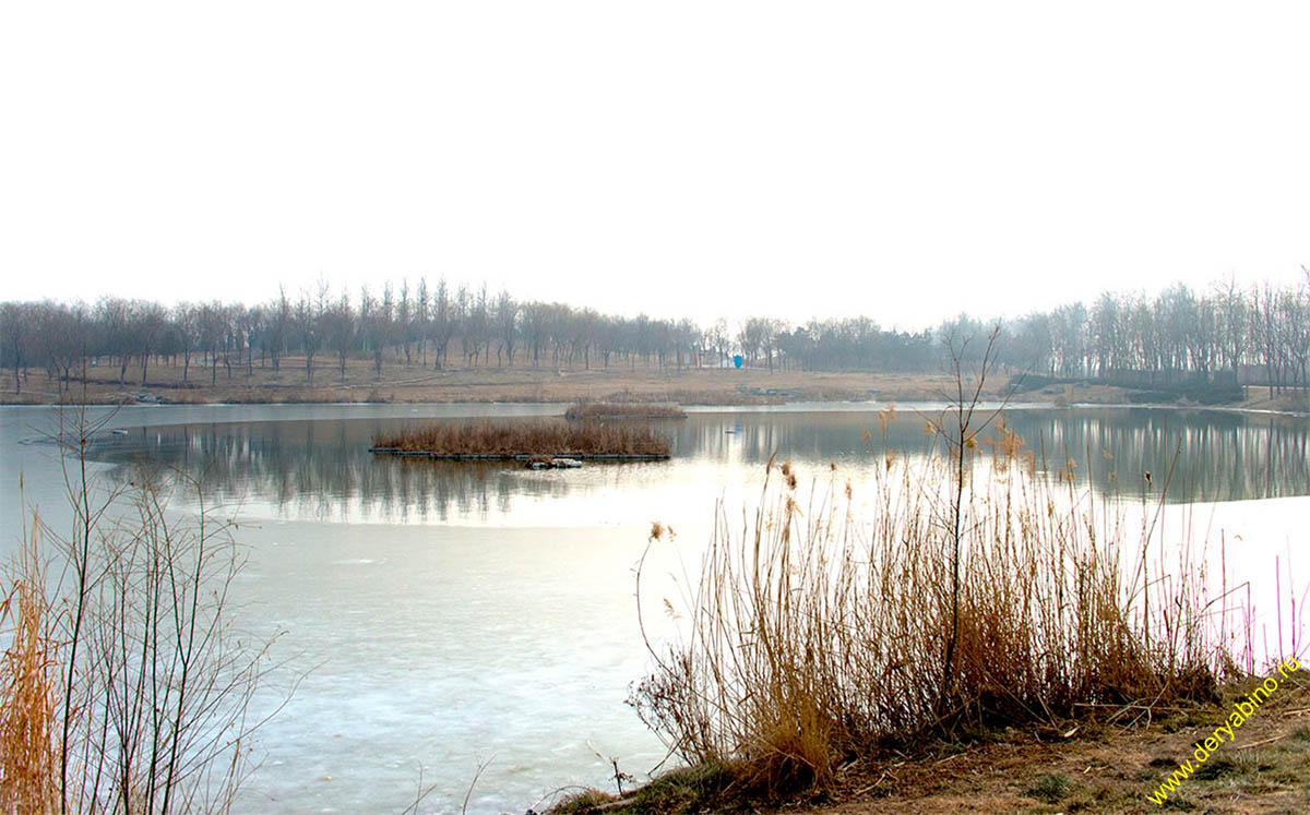 Олений парк Пекин Китай China Beijing