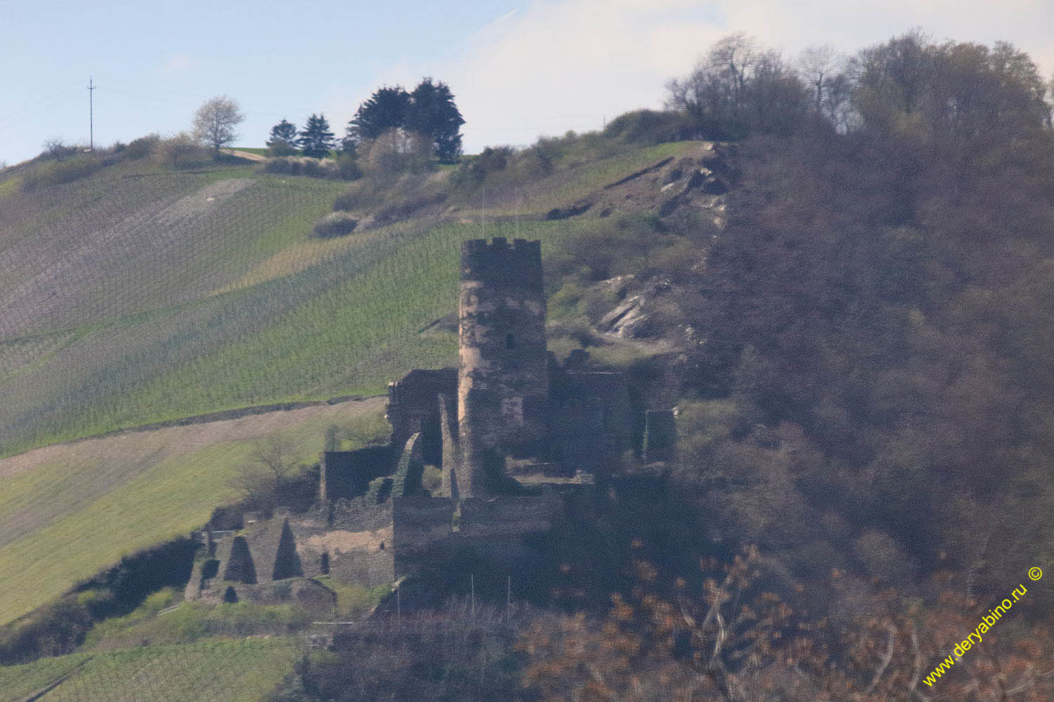   Furstenberg Castle