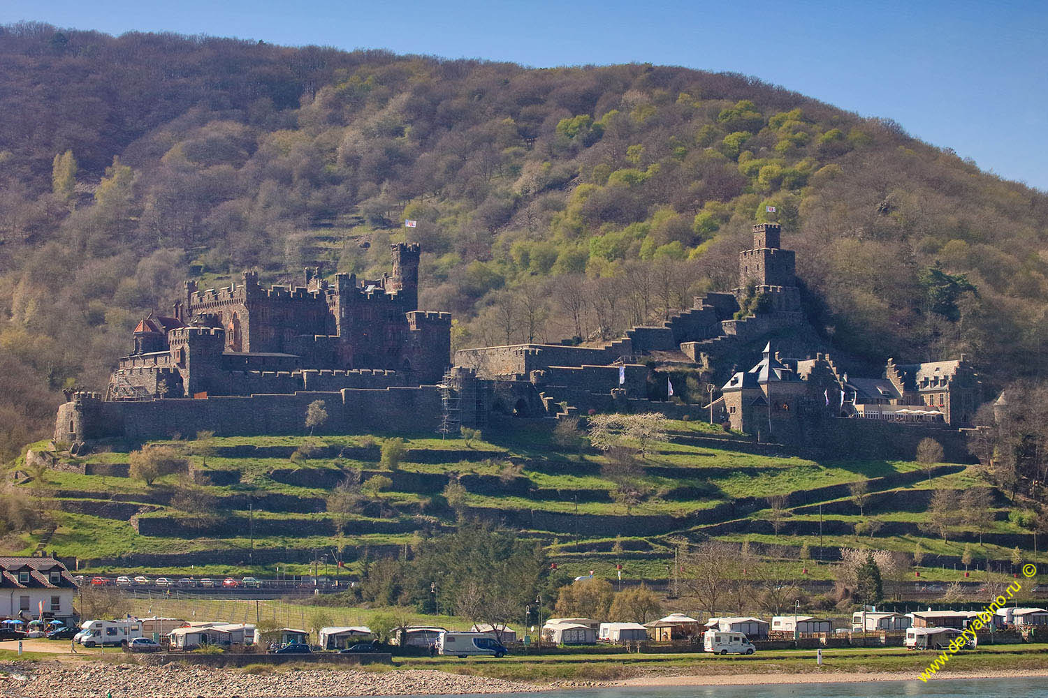  Burg Reichenstein Falkenburg