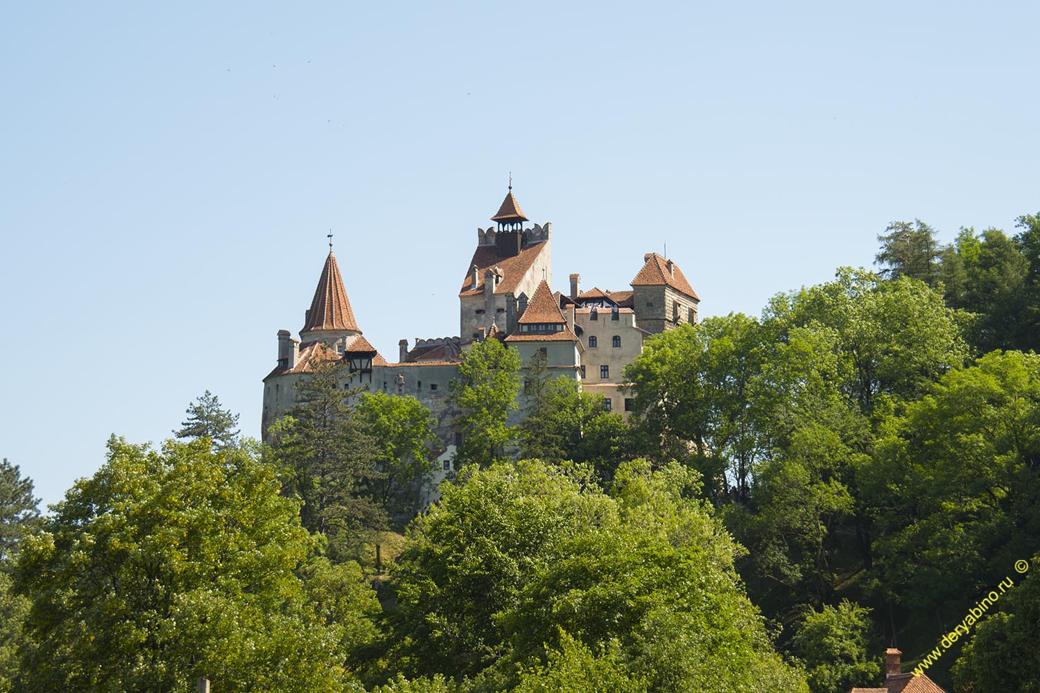    Dracula Castle Romania