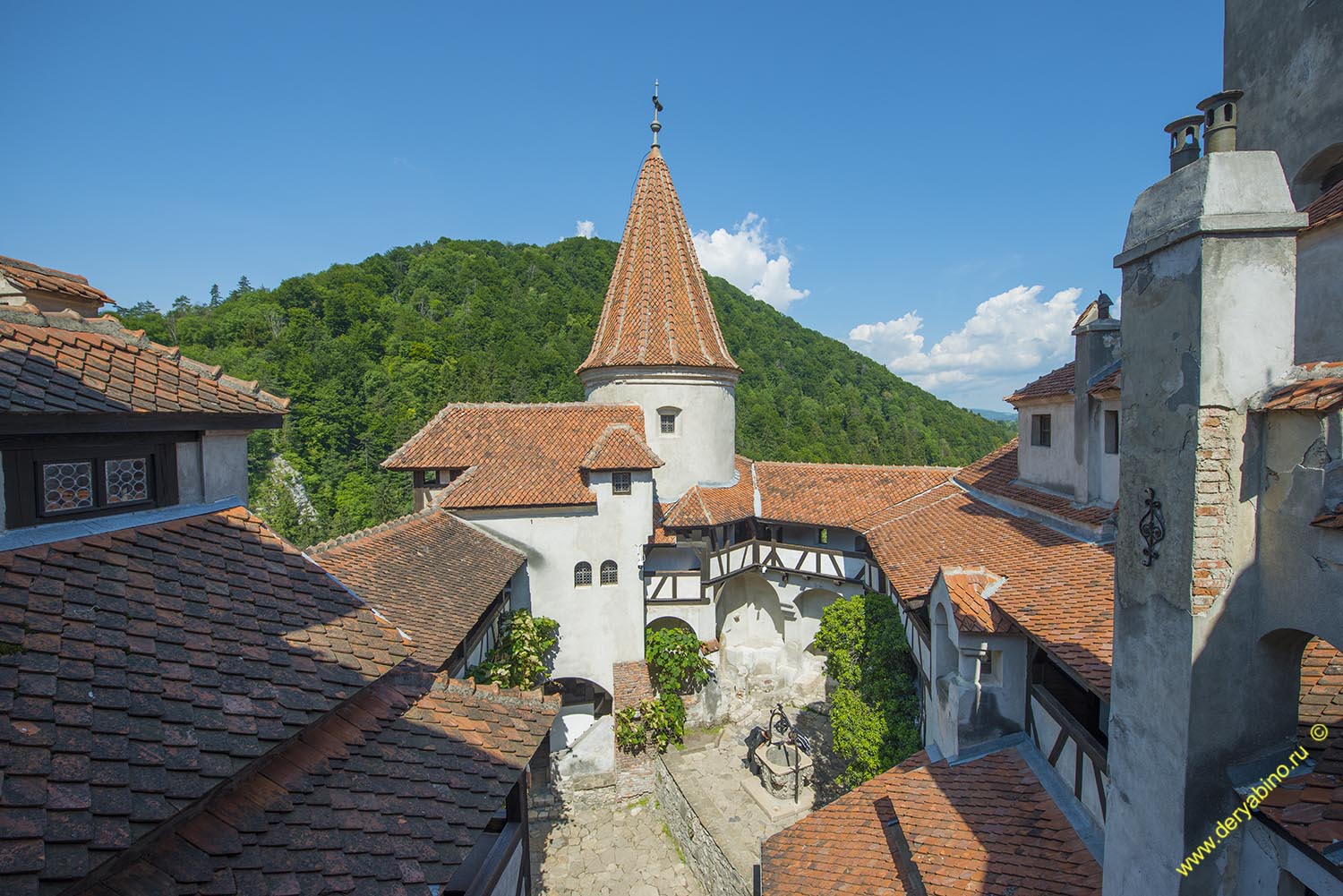    Dracula Castle Romania