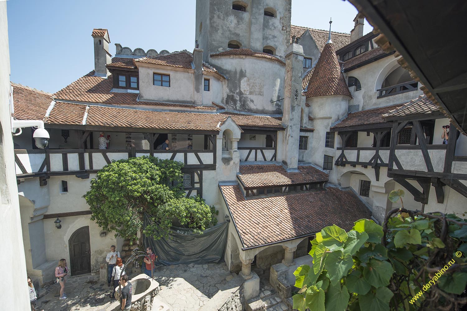    Dracula Castle Romania