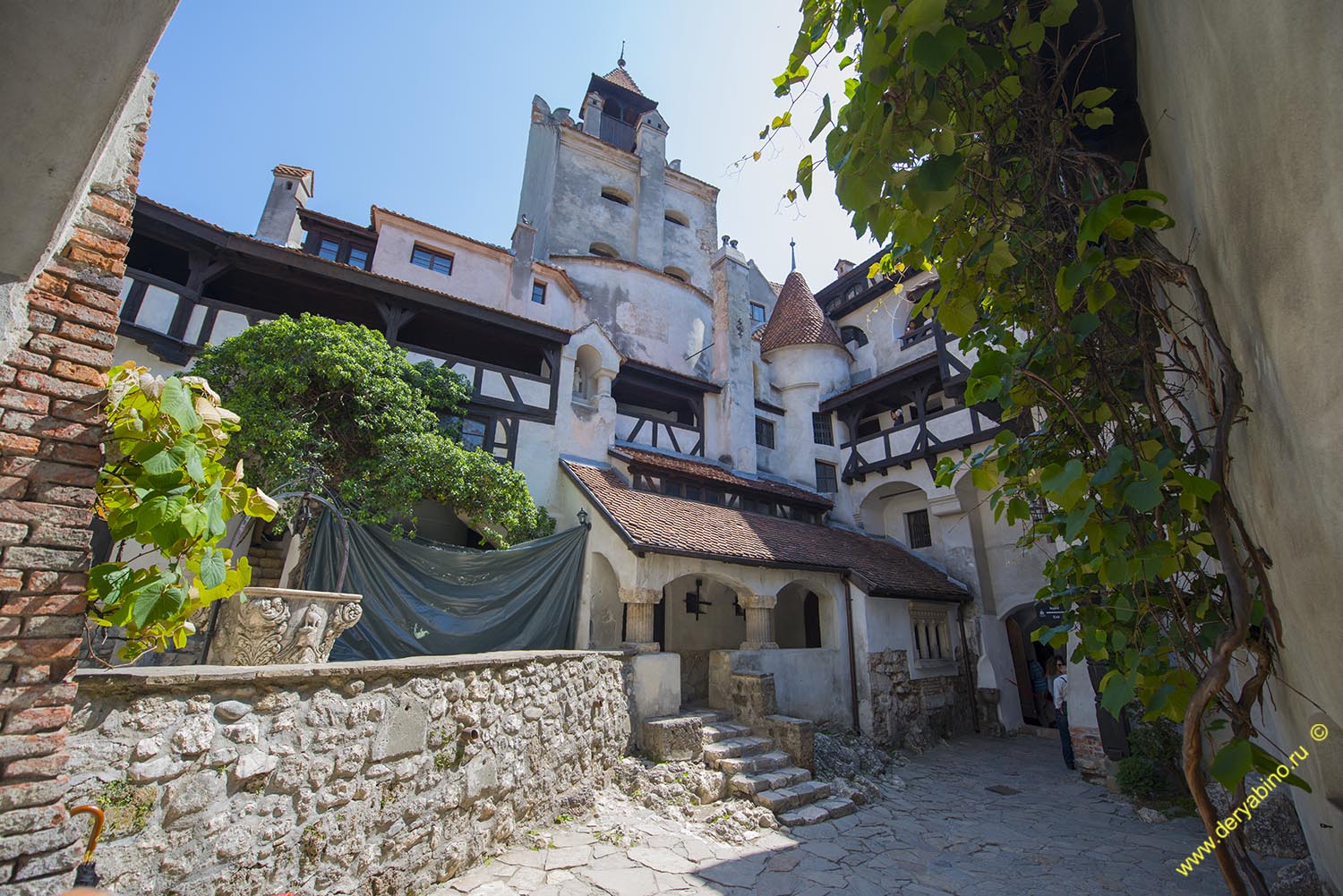    Dracula Castle Romania