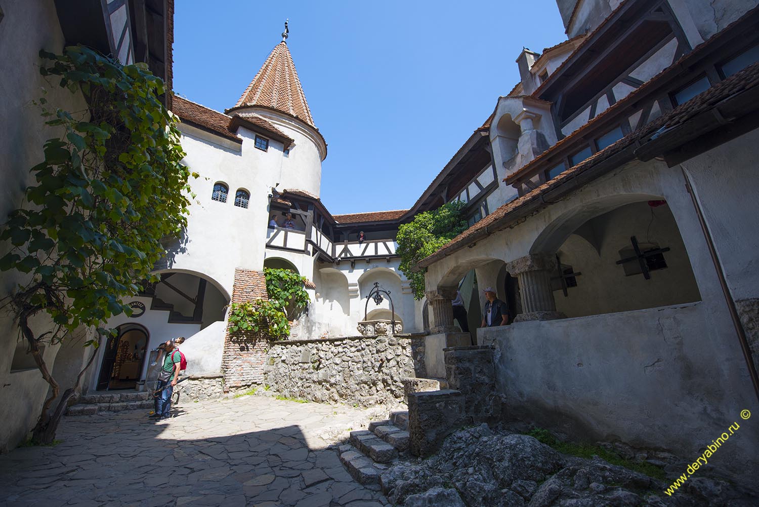    Dracula Castle Romania