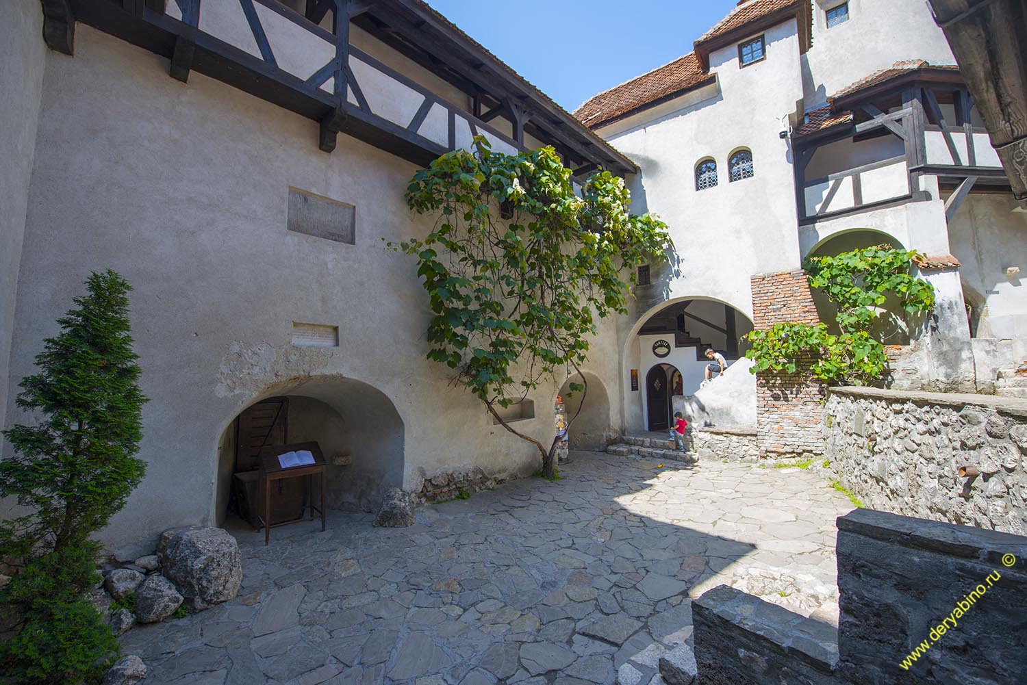    Dracula Castle Romania