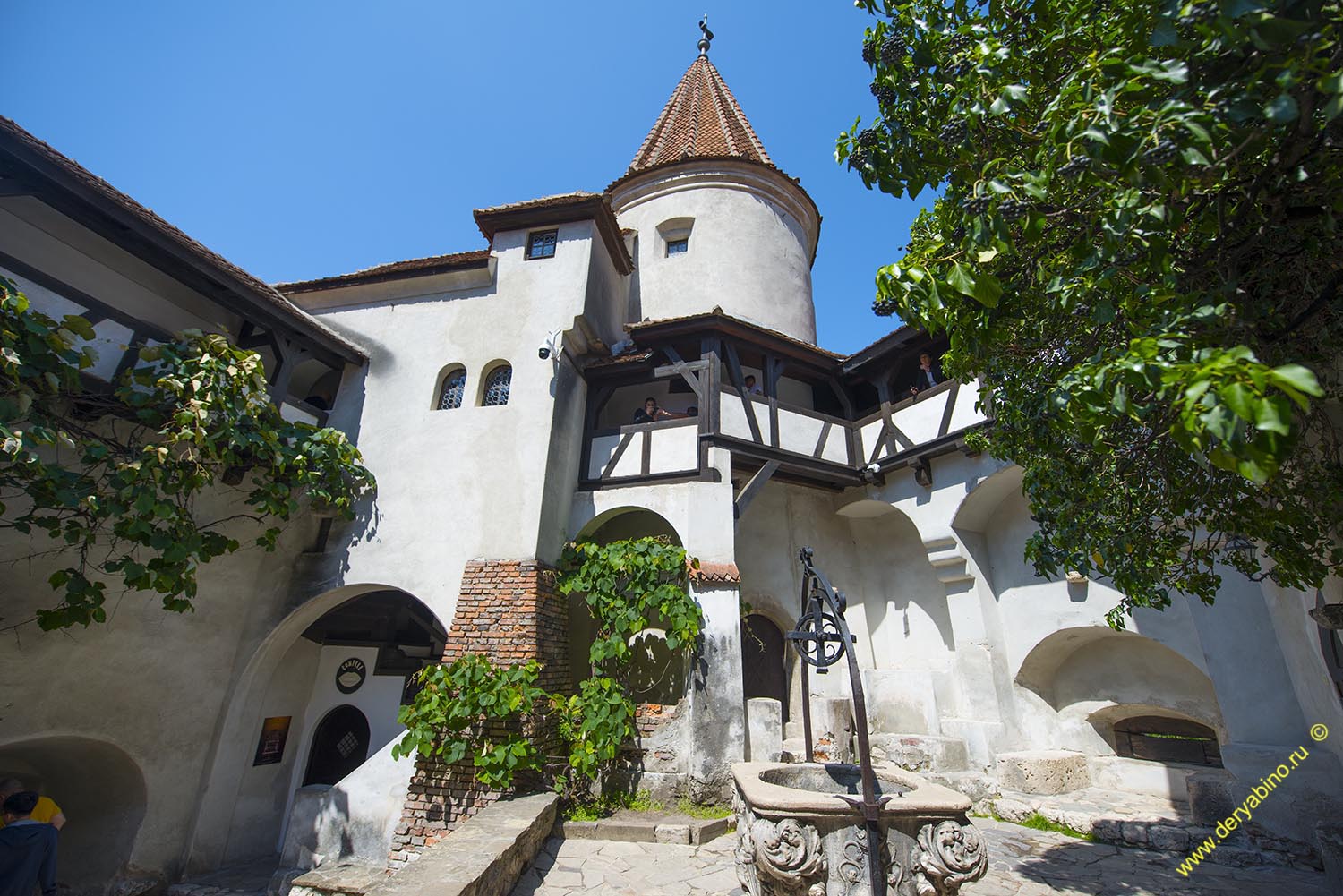    Dracula Castle Romania