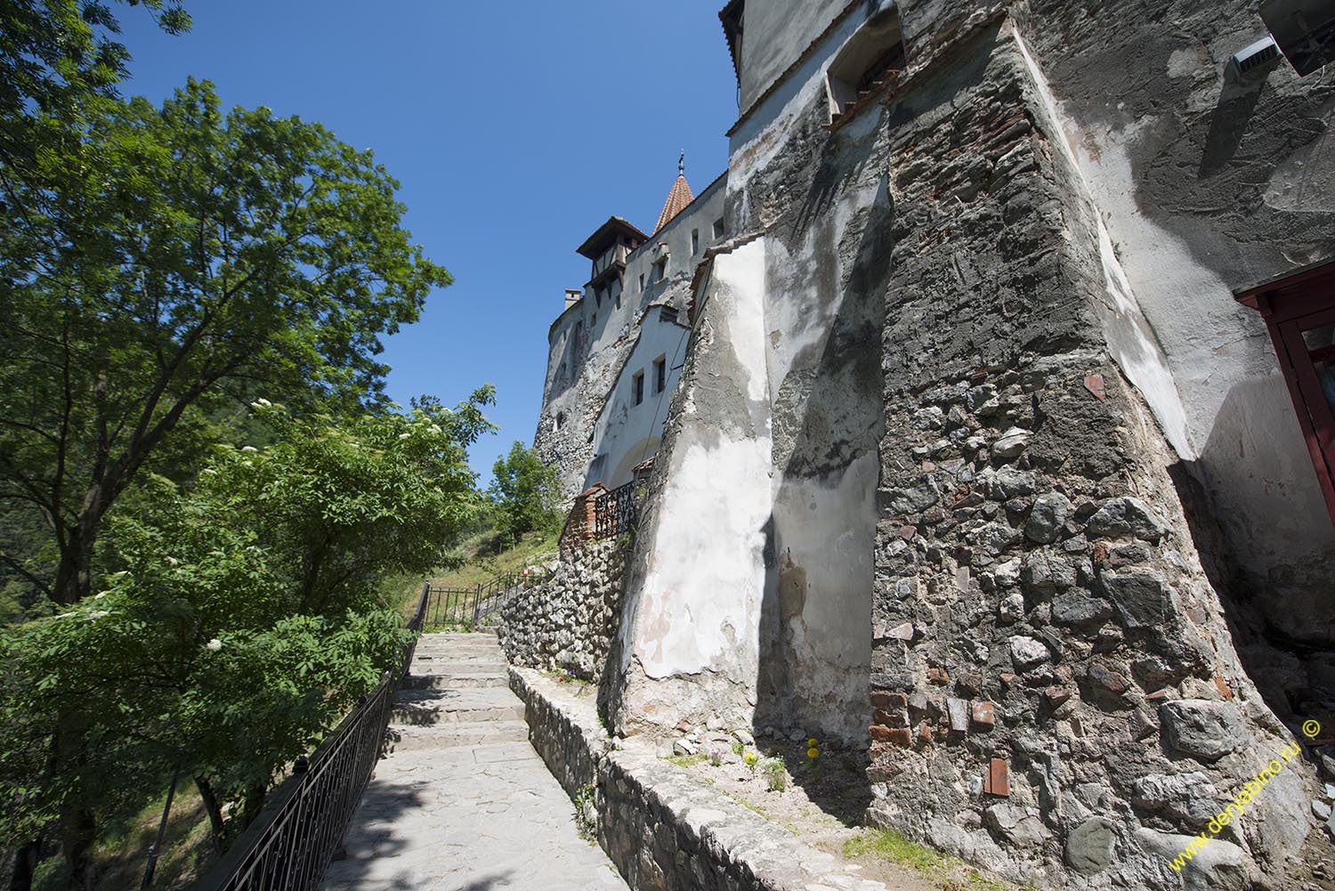    Dracula Castle Romania