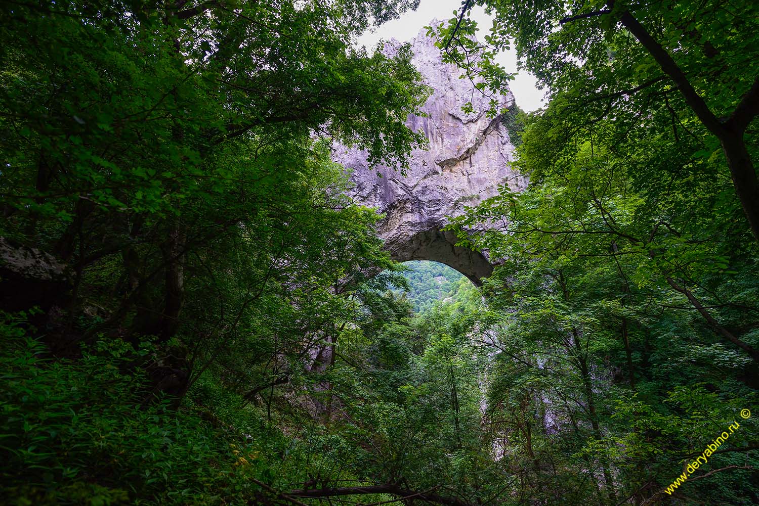    Serbia 