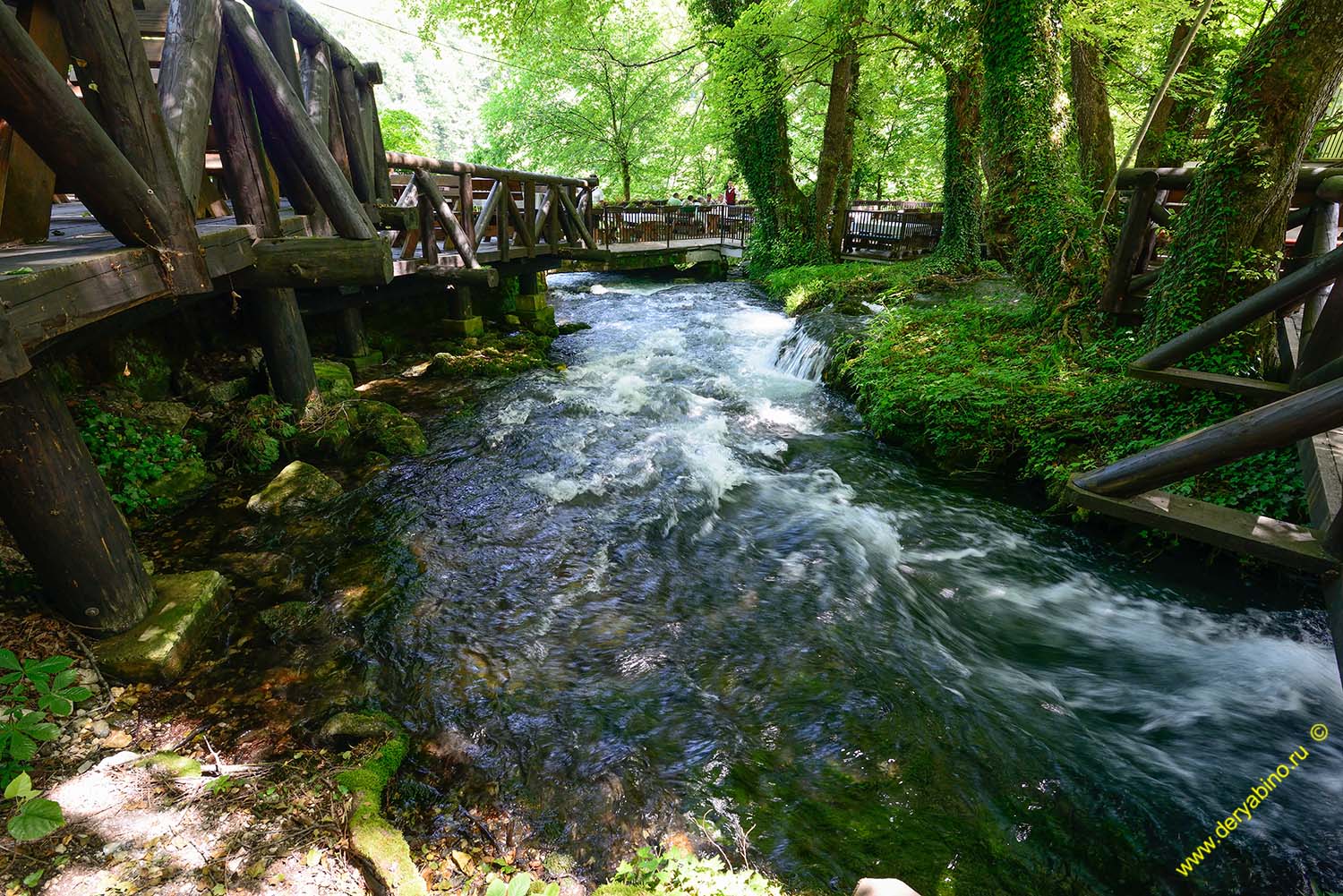   Vrelo Serbia 