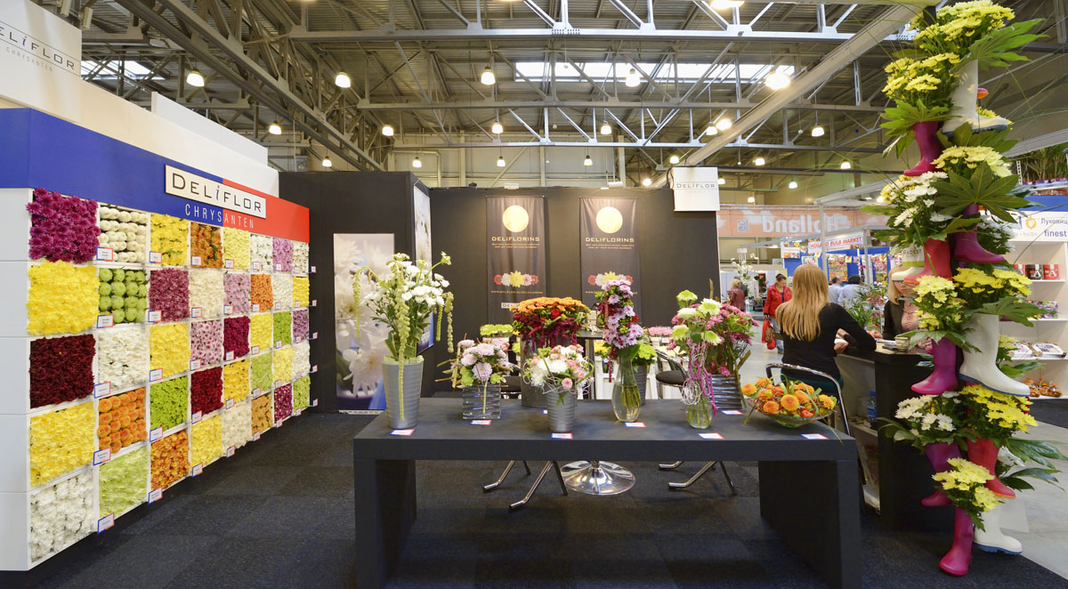 http://www.deryabino.ru/flowers/Crocus/2012/flowers_021_100912.jpg
