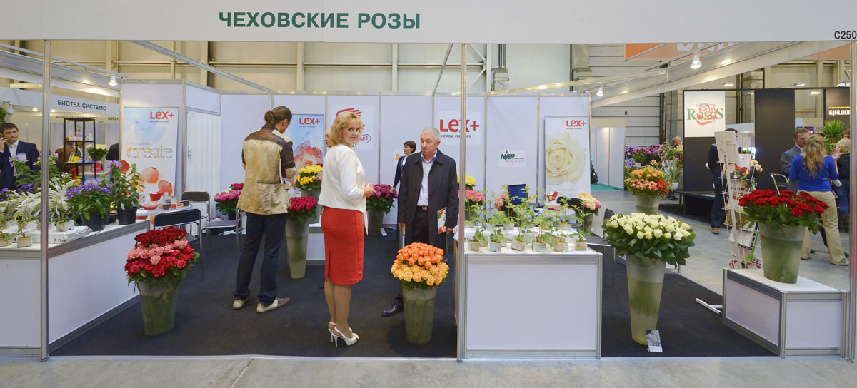 http://www.deryabino.ru/flowers/Crocus/2012/flowers_030_100912.jpg