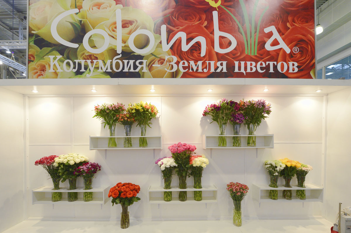http://www.deryabino.ru/flowers/Crocus/2012/flowers_041_100912.jpg