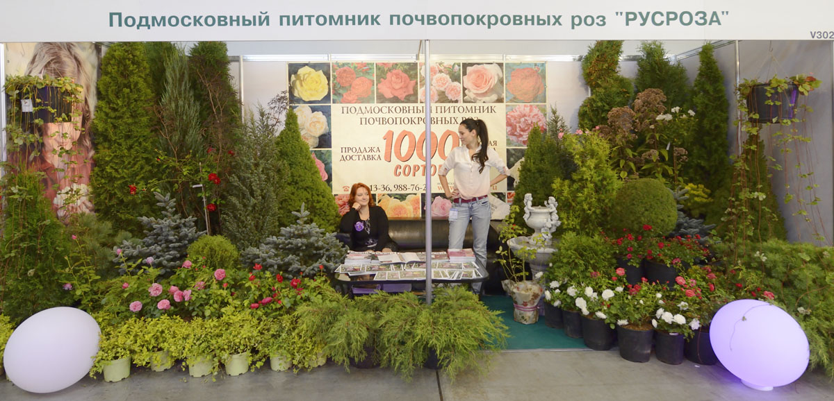 http://www.deryabino.ru/flowers/Crocus/2012/flowers_061_100912.jpg